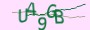 validcode